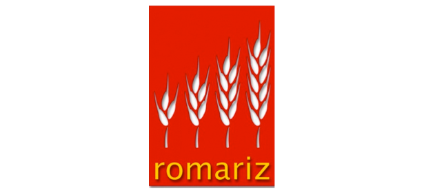 Logo romariz 2022